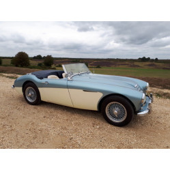 Category image for Austin Healey 100/6