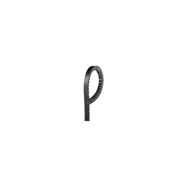 Drive Belt image