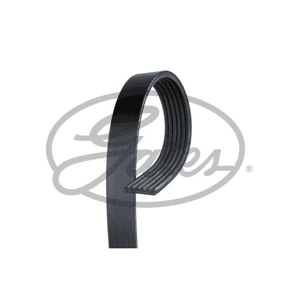 Drive Belt image