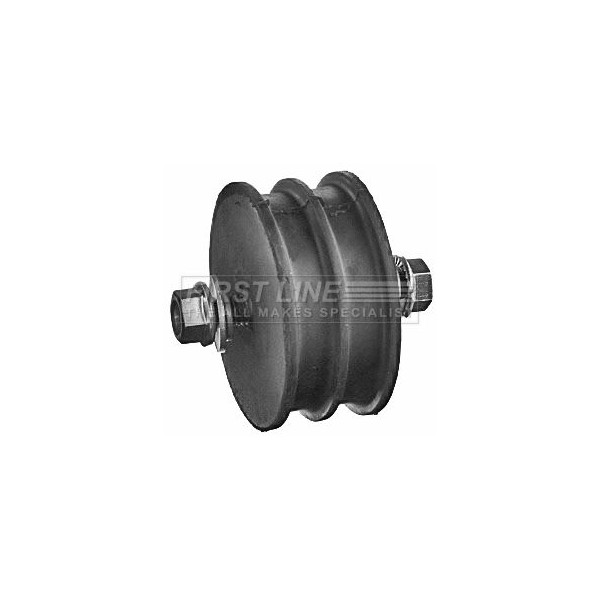 Engine/Transmission Bush/Mount image