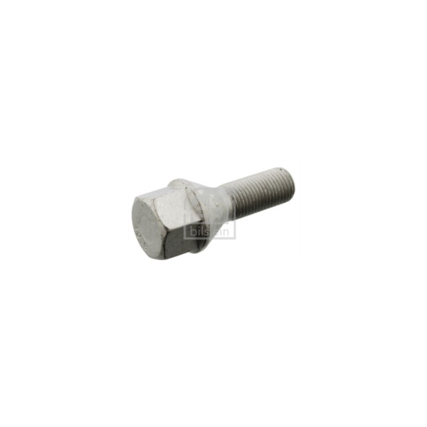 Wheel Bolt/Nut image
