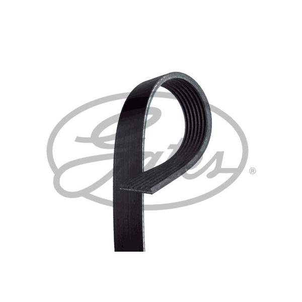 Drive Belt image