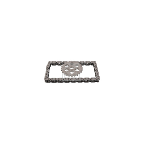 Oil Pump Chain Kit image