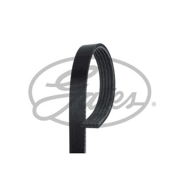 Drive Belt image