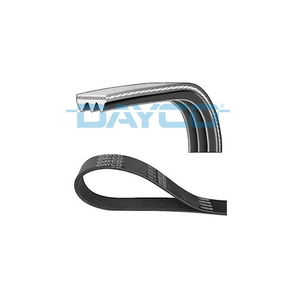 POLY RIB BELT image
