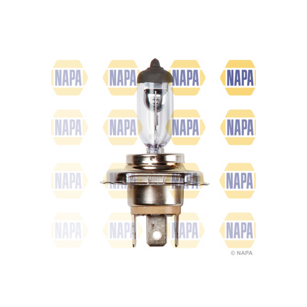 Head Light image