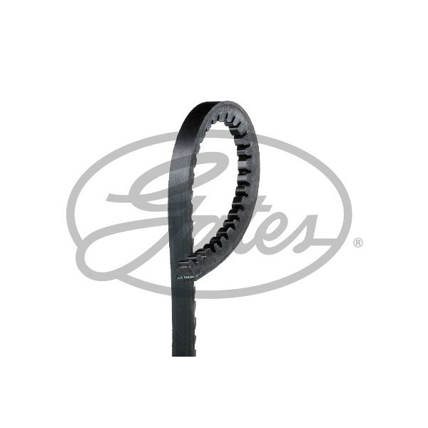Drive Belt image